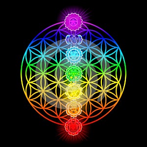 Seven chakras and flower of Life