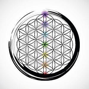 Seven chakras and flower of life