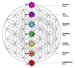 Seven chakras name with detail. This is religion, philosophy, and spirituality symbols.