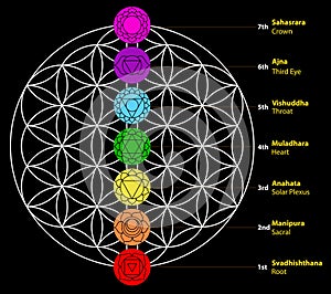 Seven chakras Set of seven chakra symbols with names. This is religion, philosophy, and spirituality symbols.