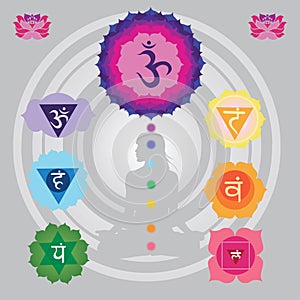 Seven chakras for yoga