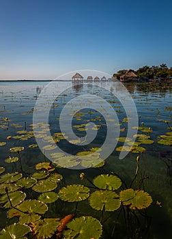 Seven Color Lagoon in Bacalar