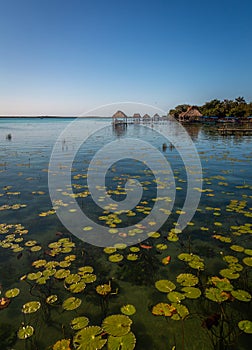 Seven Color Lagoon in Bacalar