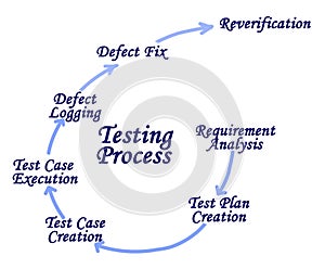Components of Testing Process