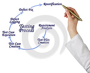 Components of Testing Process
