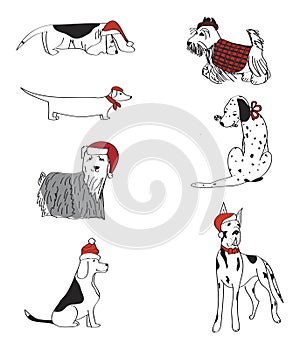 Seven Dogs Dressed For Christmas Vector Set