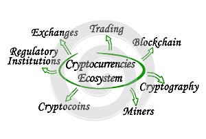 Elements of Cryptocurrencies Ecosystem