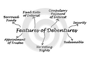 Features of Debentures