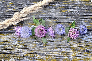 Seven flowers on the old wood desk