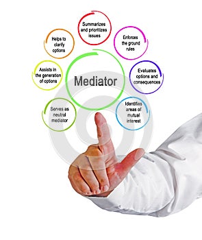 Seven functions of mediator