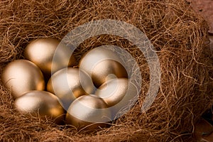 Seven golden eggs on nest