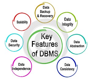 Key Features of DBMS