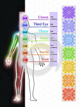 The Seven Main Chakras