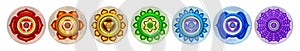 The seven main chakras buttons