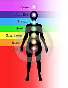 Seven Major Chakras Diagram