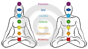 Seven Major Chakras Sanskrit Names Woman Man Couple