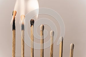 Seven matchsticks burning in sequence.
