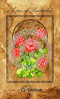 Seven of pentacles. Minor Arcana tarot card with Geranium and magic seal photo