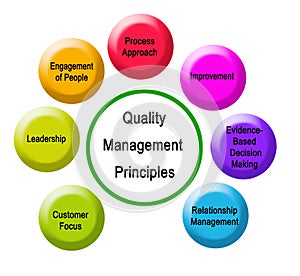 Seven Quality Management Principles