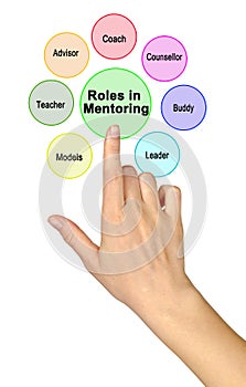 Roles assumed by mentor photo