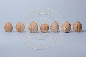 Seven rows of walnuts arranged side by side