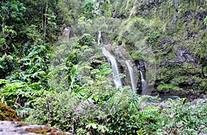 Seven Sacred Pools of Ohio, Maui, Hawaii