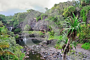 Seven Sacred Pools of Ohio, Maui, Hawaii