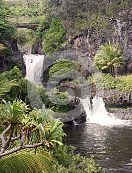 Seven sacred pools waterfalls in haleakala nationa