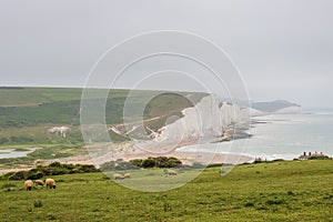 Seven Sisters chalk cliffs east sussex england uk.