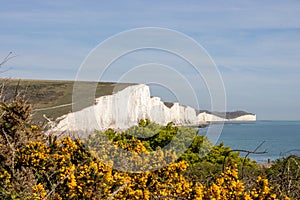 Seven sisters at Seaford. White cliffs