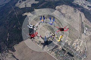 Seven skydivers are in the sky.