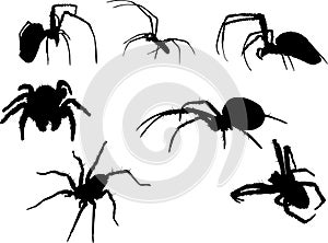 Seven spider silhouettes