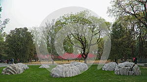 The Seven-Star Stone in Temple of Heaven Park.