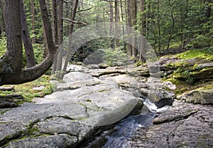 Seven Tubs Waterfall Rocky Forest Stream