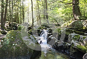 Seven Tubs Waterfall Rocky Forest Stream