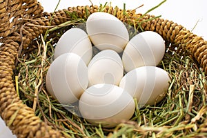 Seven white eggs in a wicker bascet on straw on white background