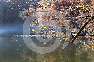 Sevenlakes National Park in Autumn Bolu Turkey. Yedigoller milli park