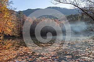 Sevenlakes National Park in Autumn Bolu Turkey. Yedigoller milli park