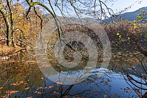 Sevenlakes National Park in Autumn Bolu Turkey. Yedigoller milli park