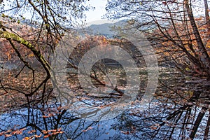 Sevenlakes National Park in Autumn Bolu Turkey. Yedigoller milli park