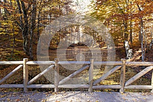 Sevenlakes National Park in Autumn Bolu Turkey. Yedigoller Milli Parki