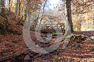 Sevenlakes National Park in Autumn Bolu Turkey. Yedigoller Milli Parki