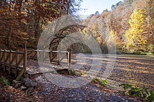 Sevenlakes National Park in Autumn Bolu Turkey. Yedigoller Milli Parki