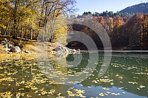 Sevenlakes National Park in Autumn Bolu Turkey. Yedigoller Milli Parki