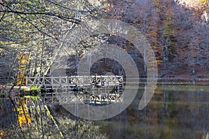 Sevenlakes National Park in Autumn Bolu Turkey. Yedigoller Milli Parki