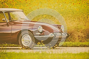 Seventies car driving by a field with blooming sunflowers