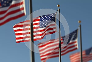 Several American Flags