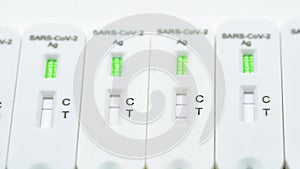 Several antigen tests arranged in a row photo