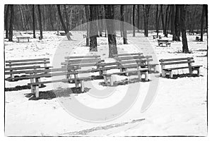 Several benches in the park during the winter morning