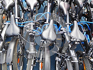 Several bicycles locked together